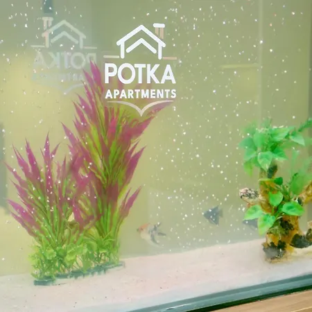 Potka Tirane * Yzberishti