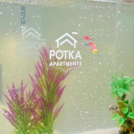Daire Potka Tirane Yzberishti