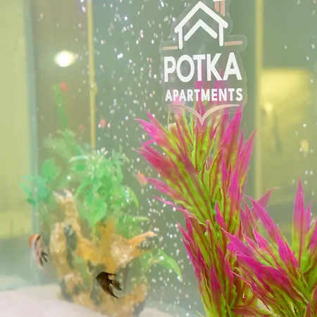 Potka Tirane Апартаменты